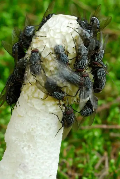 Screens and ILTs at a service entrance