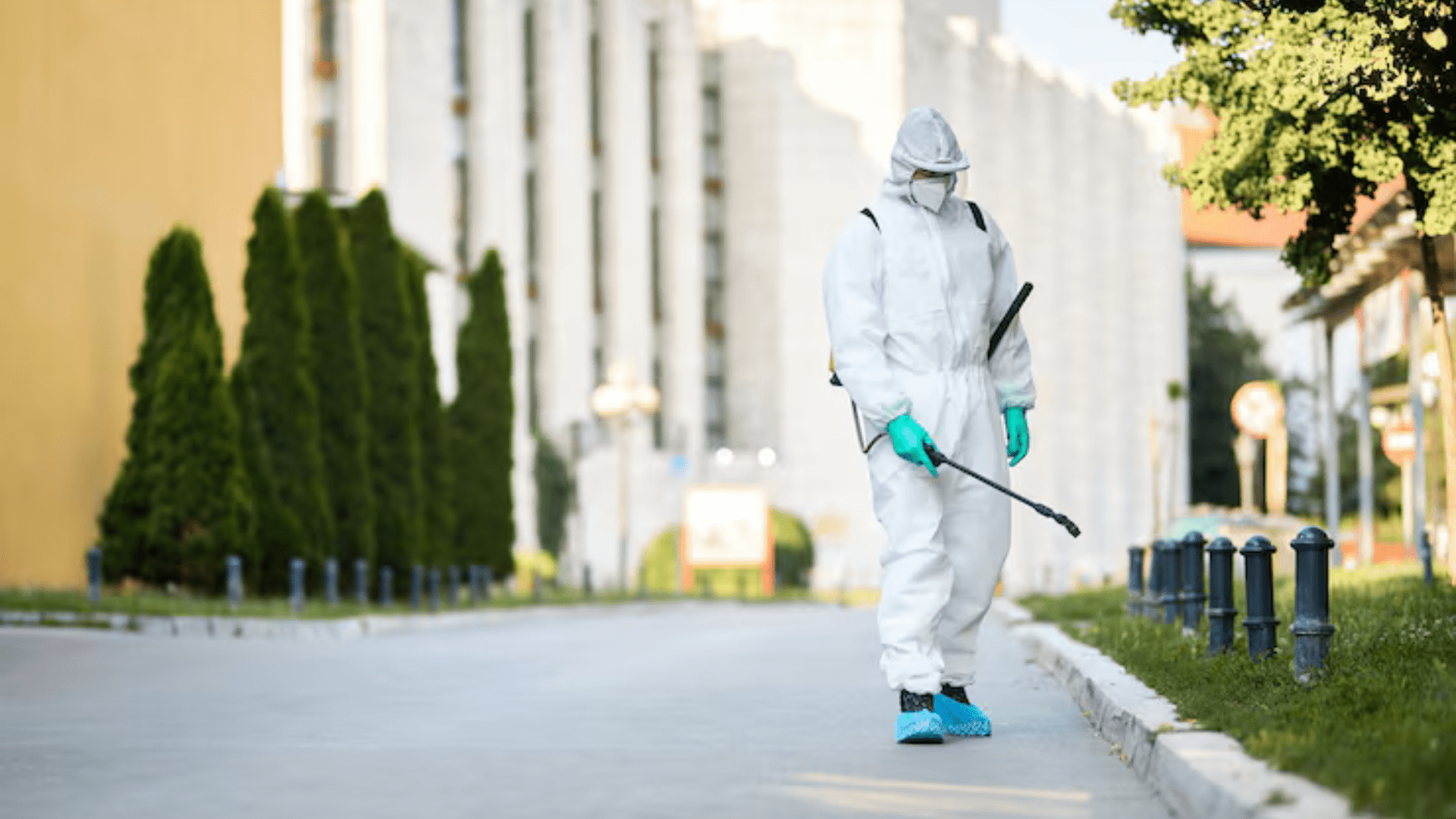 Commercial pest control Dubai